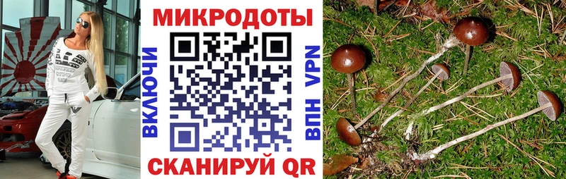 магазин продажи наркотиков  Чёрмоз  Галлюциногенные грибы Cubensis 